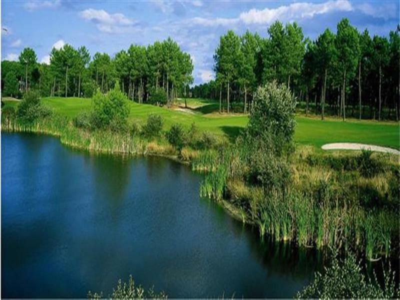 Holiday Inn Bordeaux Sud - Pessac By Ihg Eksteriør billede
